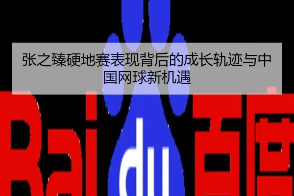 张之臻硬地赛表现背后的成长轨迹与中国网球新机遇