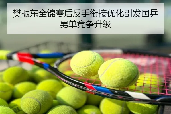 樊振东全锦赛后反手衔接优化引发国乒男单竞争升级