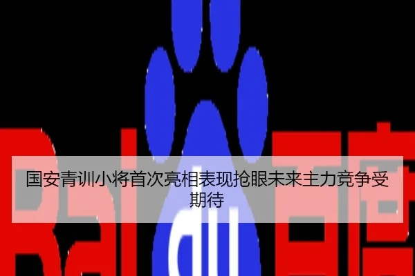 国安青训小将首次亮相表现抢眼未来主力竞争受期待