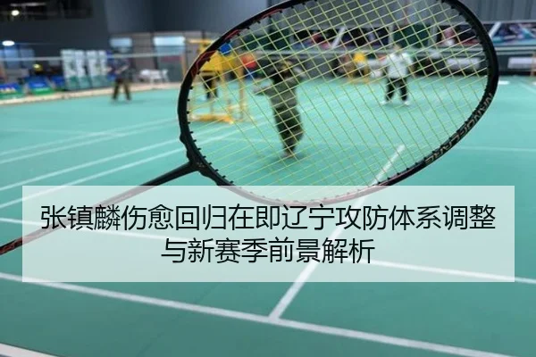 张镇麟伤愈回归在即辽宁攻防体系调整与新赛季前景解析
