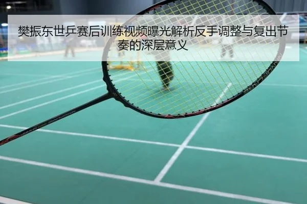 樊振东世乒赛后训练视频曝光解析反手调整与复出节奏的深层意义