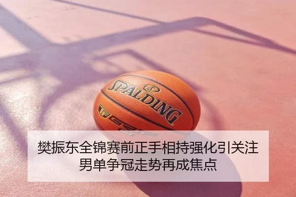 樊振东全锦赛前正手相持强化引关注 男单争冠走势再成焦点